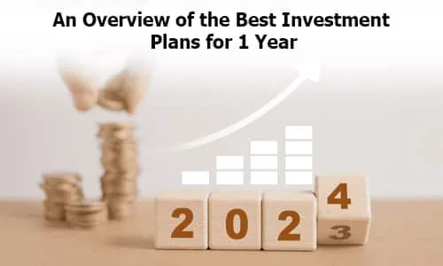 Best Investment Plans for 1 Year