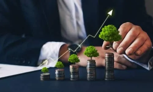 Top Performing Mutual Funds in UAE