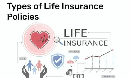 In the World of Assurance: How Many Types of Life Insurance Policies?