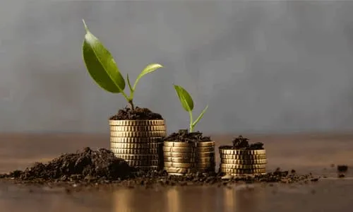 Your Investment Guide on Passive Investing