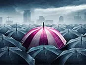 Best Term Insurance Plans in India